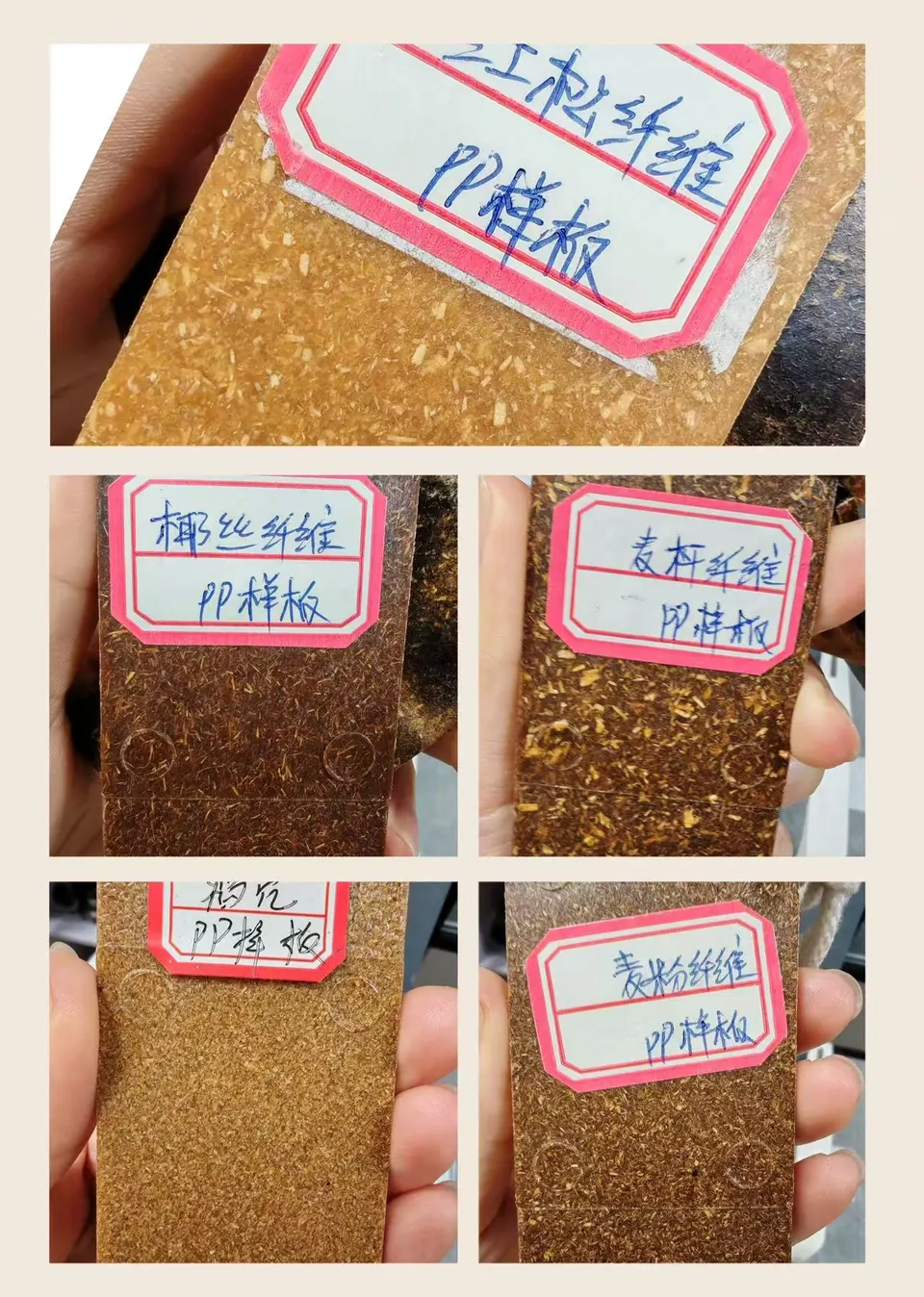 Injection molded PP sample plaques using red pine fiber, coconut coir, wheat straw, rice husk and wheat flour plant fiber fillers
